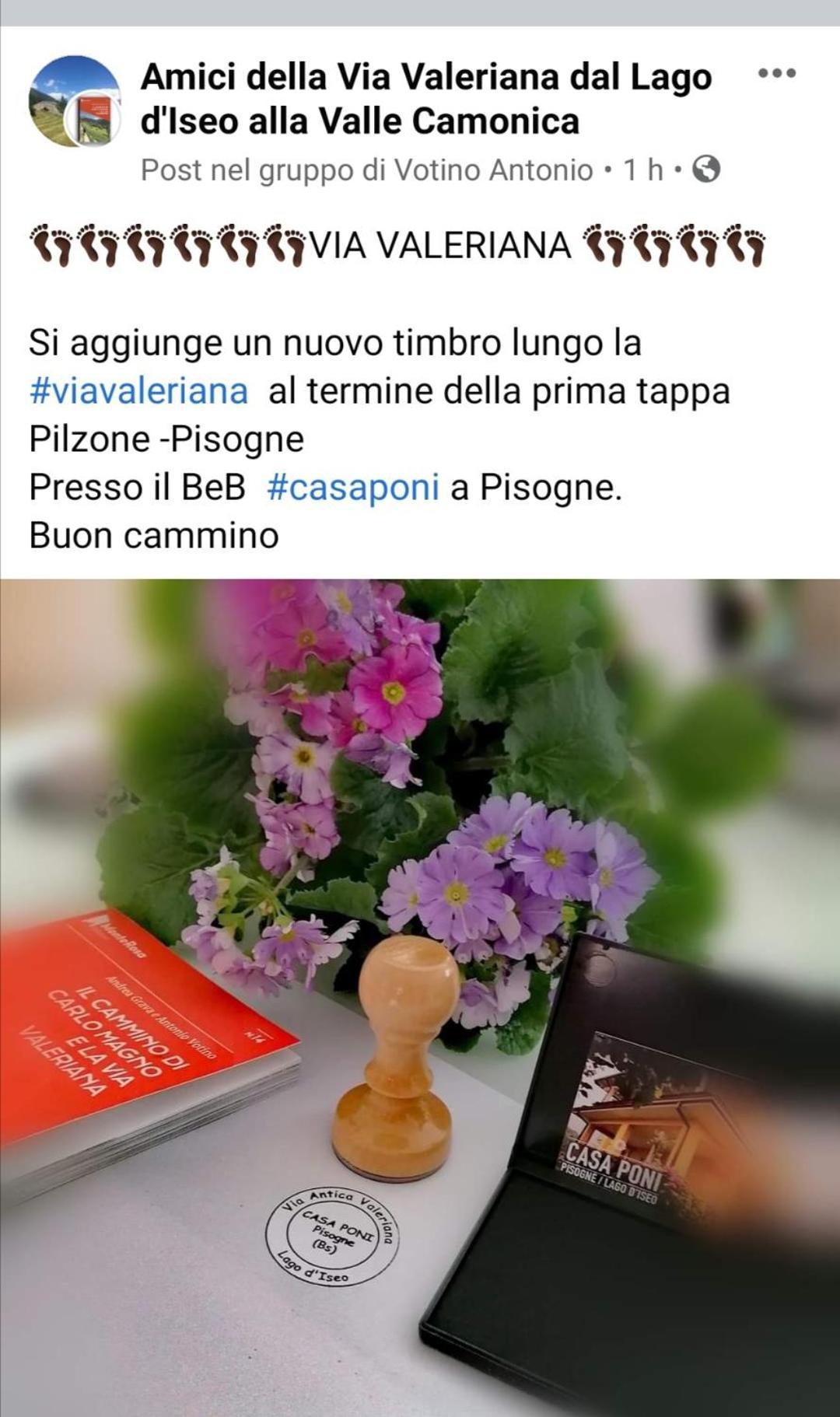 피소그네 Casa Poni 빌라 객실 사진